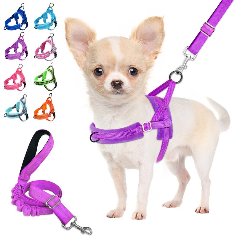 Lukovee No Pull Dog Harness and Leash Set, Soft Padded Small Dog Harness, Neck & Chest Adjustable Reflective Vest Puppy Harness with 4ft Lightweight Anti-Twist Dog Leash for Small Dogs (XS, Purple) - Image 1